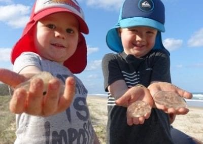 Top 9 things to do on Fraser Island with kids - Wildlife - JellyFish