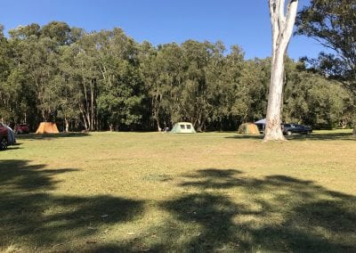 Habitat Noosa - Camping Grounds