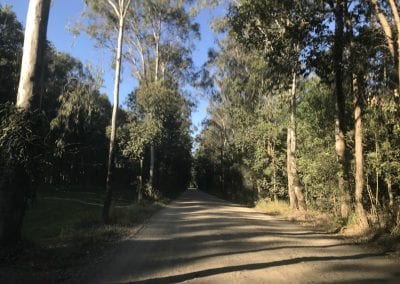 Habitat Noosa - Driveway